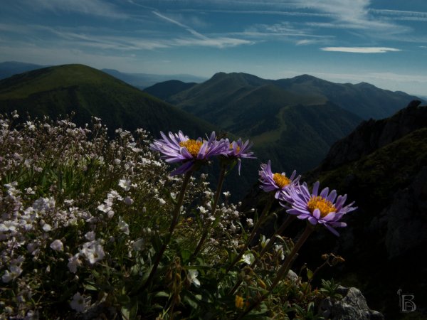 Kis-Fátra, 2015.07.11