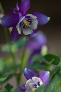 IMG_1450
